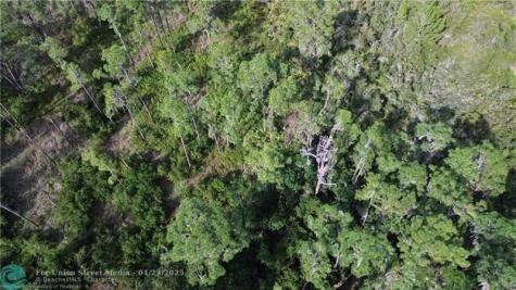3029 Hawks Landing Circle Sebring FL 33875