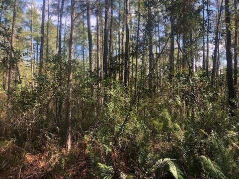 Old Grade Road Other City - In The State Of Florida FL 33868