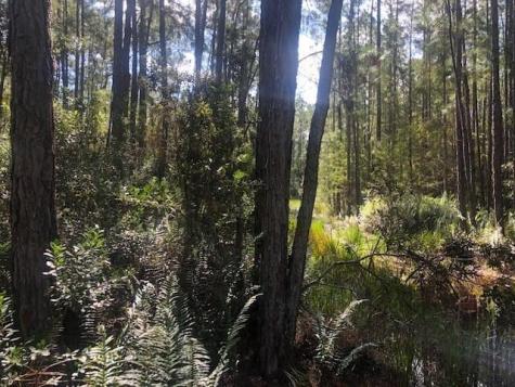 Old Grade Road Other City - In The State Of Florida FL 33868