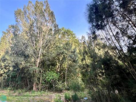 10128 NE 20th Lane Okeechobee FL 34974