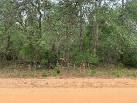 David Avenue Interlachen FL 32148