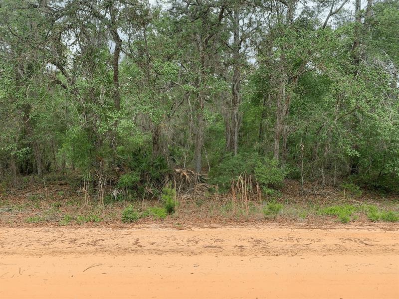 David Avenue Interlachen FL 32148