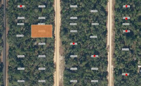 David Avenue Interlachen FL 32148