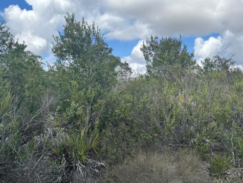 Holopaw Groves Road St. Cloud FL 34772