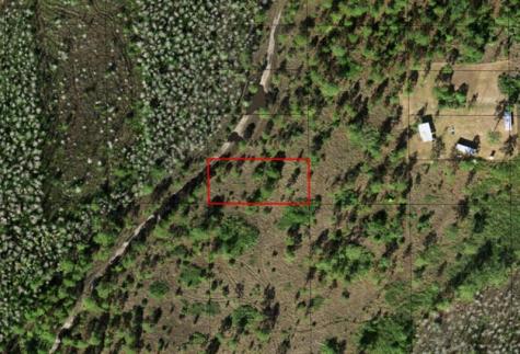 Holopaw Groves Road St. Cloud FL 34772