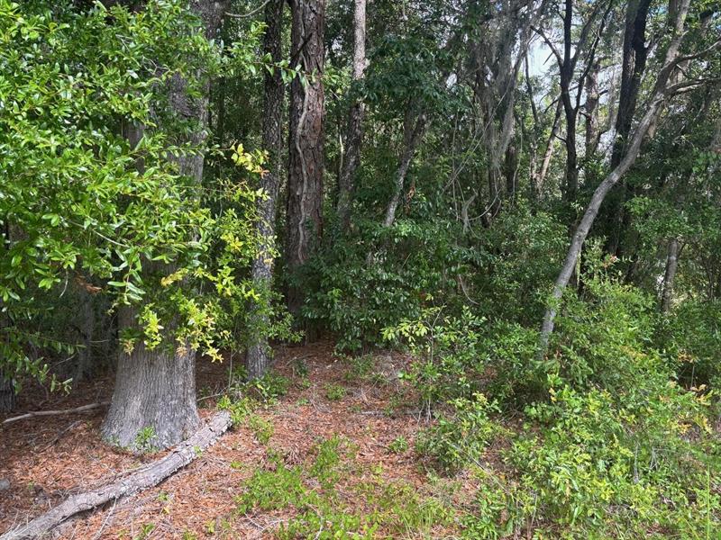 SW 30th Place Ocala FL 34481