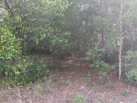 SW 30th Place Ocala FL 34481