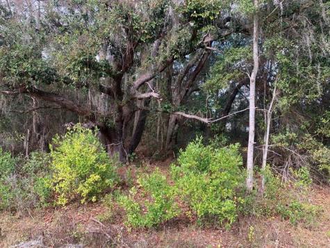 SW 30th Place Ocala FL 34481