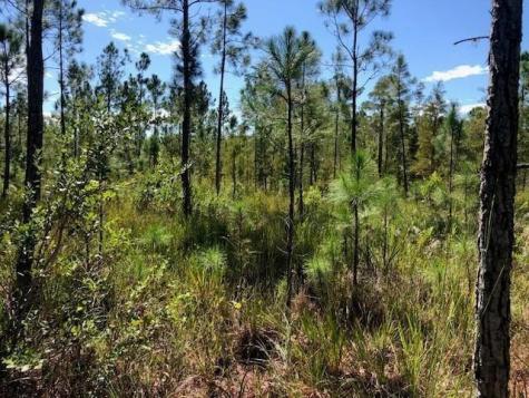 Old Grade Road Other City - In The State Of Florida FL 33868