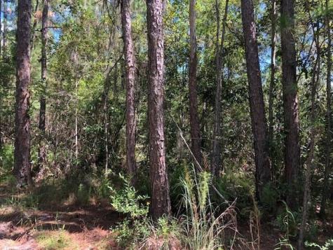 Old Grade Road Other City - In The State Of Florida FL 33868