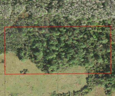 Holopaw Groves Road St. Cloud FL 34772