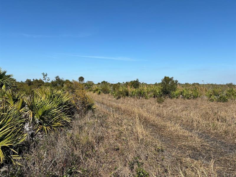 NW 316th Street Okeechobee FL 34972
