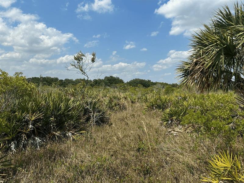 NW 306th Street Okeechobee FL 34972