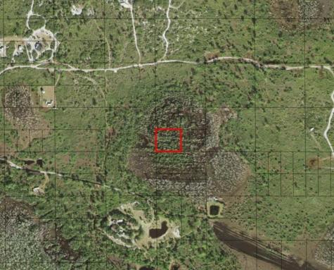 Holopaw Groves Road St. Cloud FL 34772