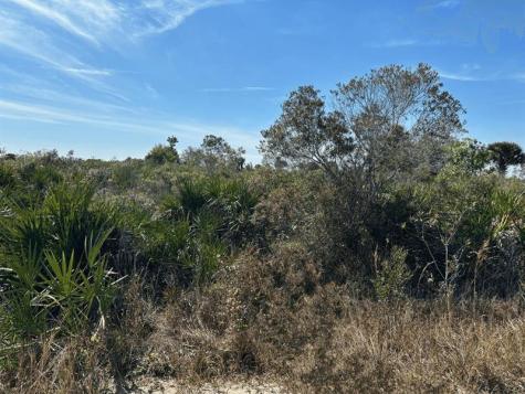 NW 308th Street Okeechobee FL 34972