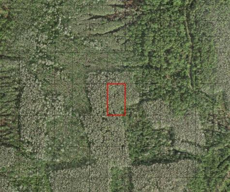 Holopaw Groves Road St. Cloud FL 34772