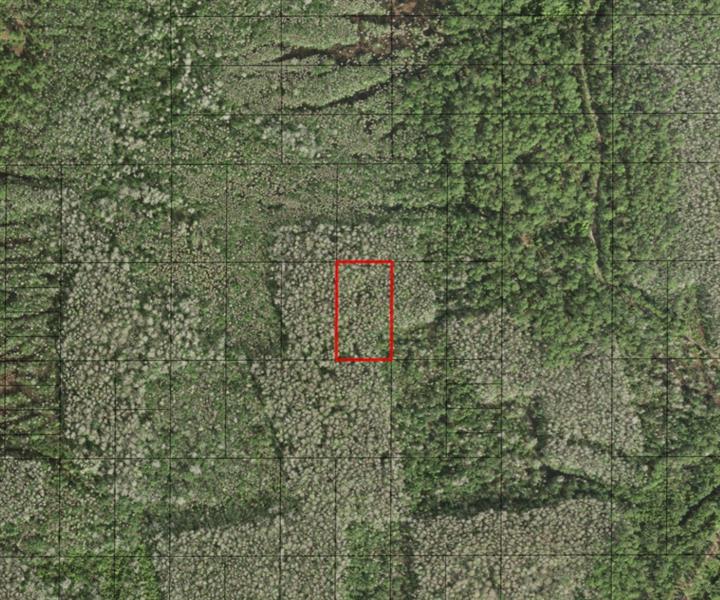 Holopaw Groves Road St. Cloud FL 34772