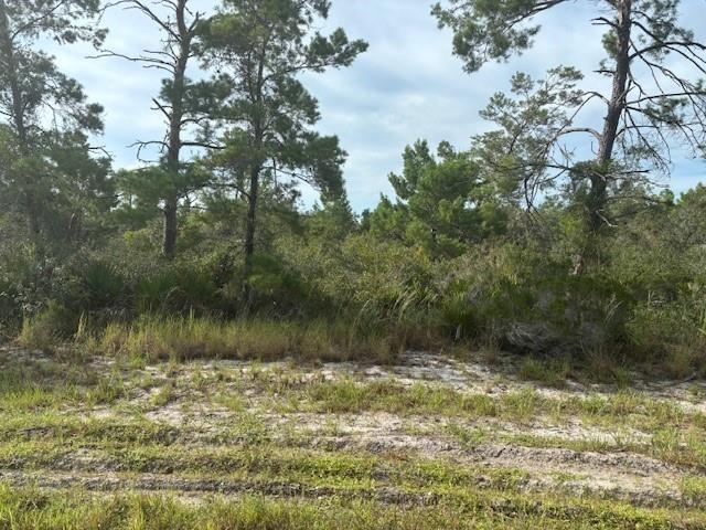 Cypress Street Interlachen FL 32148