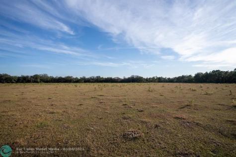 Lake Hatcheneha Haines City FL 33844