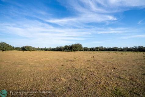 Lake Hatcheneha Haines City FL 33844