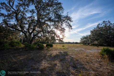Lake Hatcheneha Haines City FL 33844