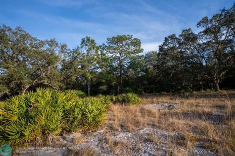 Lake Hatcheneha Haines City FL 33844