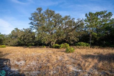 Lake Hatcheneha Haines City FL 33844