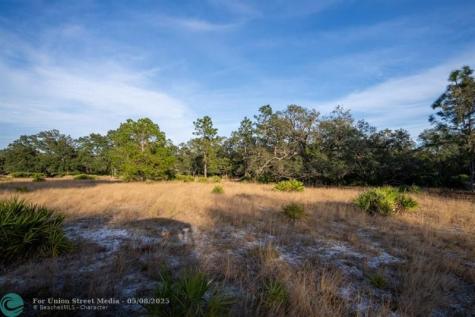 Lake Hatcheneha Haines City FL 33844