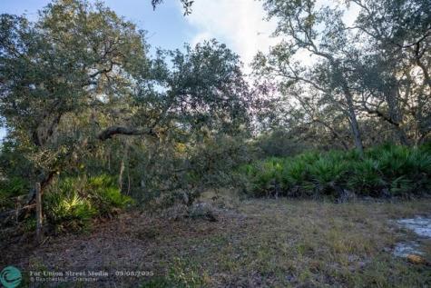 Lake Hatcheneha Haines City FL 33844