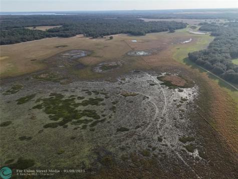 Lake Hatcheneha Haines City FL 33844
