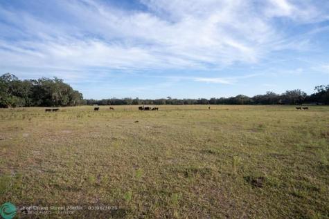 Lake Hatcheneha Haines City FL 33844