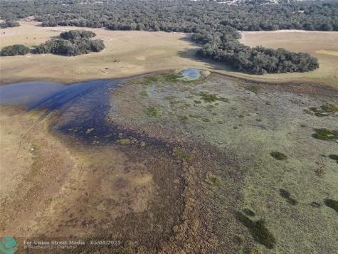 Lake Hatcheneha Haines City FL 33844