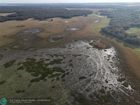 Lake Hatcheneha Haines City FL 33844