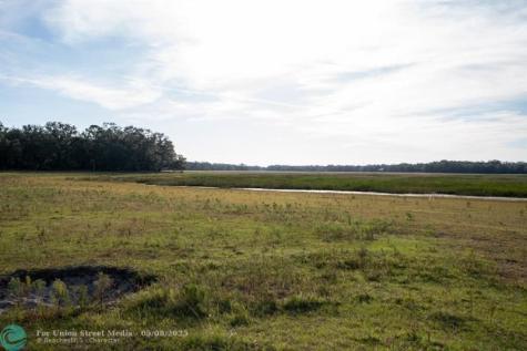 Lake Hatcheneha Haines City FL 33844