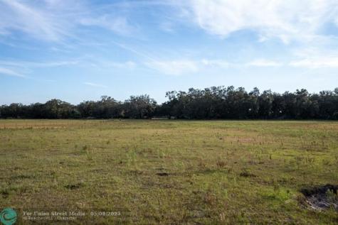 Lake Hatcheneha Haines City FL 33844