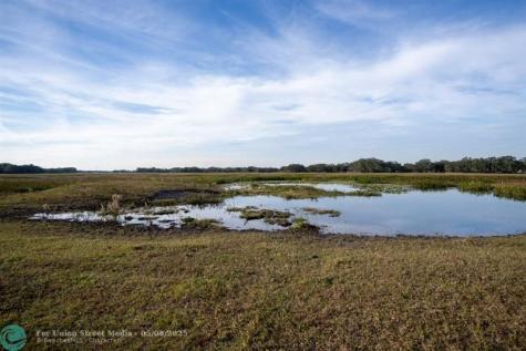 Lake Hatcheneha Haines City FL 33844