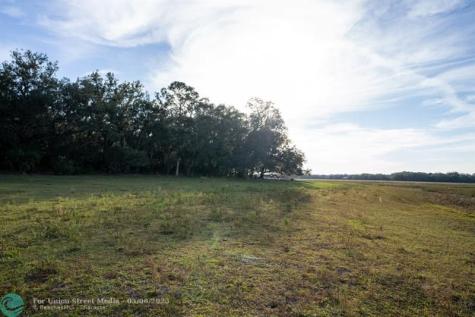 Lake Hatcheneha Haines City FL 33844