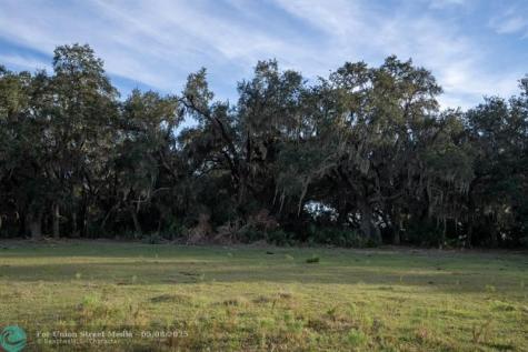 Lake Hatcheneha Haines City FL 33844