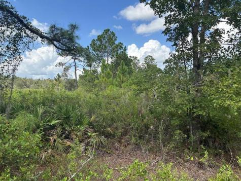 County Road 54 E Kathleen FL 33849
