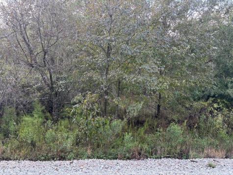County Road 54 E Kathleen FL 33849