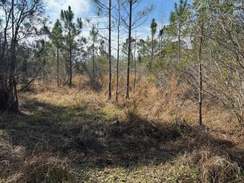 Old Grade Road Other City - In The State Of Florida FL 33868