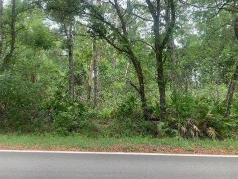 Theresa Avenue Interlachen FL 32148