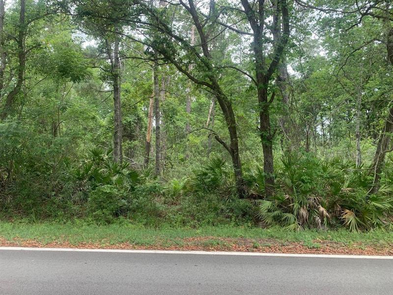 Theresa Avenue Interlachen FL 32148