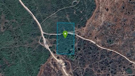 NW 314th Street Okeechobee FL 34972