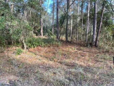 417 Incline Satsuma FL 32189