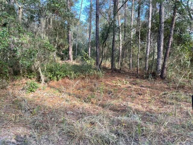 417 Incline Satsuma FL 32189