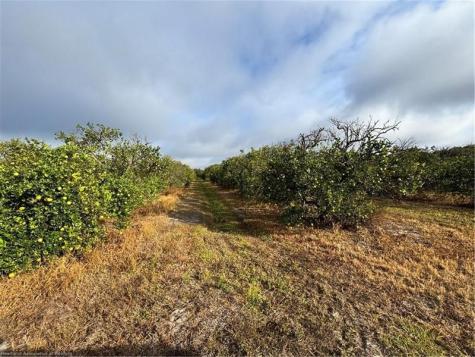 2205 Hicks Road Lorida FL 33857