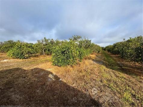 2205 Hicks Road Lorida FL 33857