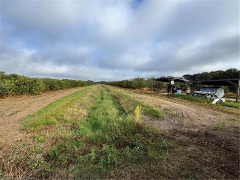 2205 Hicks Road Lorida FL 33857