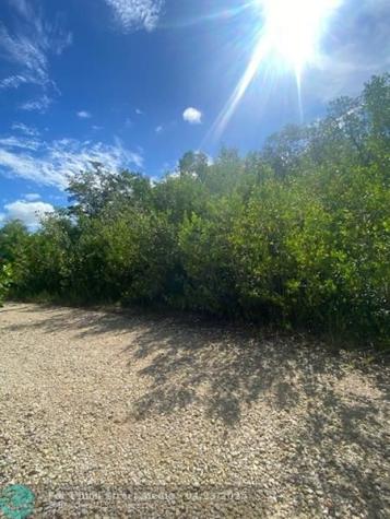 78 Otter Avenue Other City - In The State Of Florida FL 34139